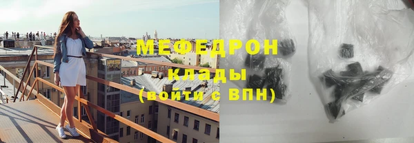 индика Алексин