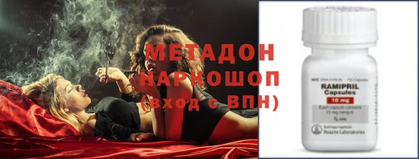 индика Алексин