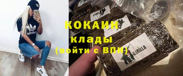 индика Алексин