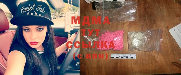 индика Алексин