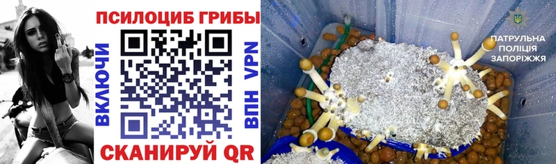 Галлюциногенные грибы прущие грибы  сайты даркнета клад  Сухиничи 